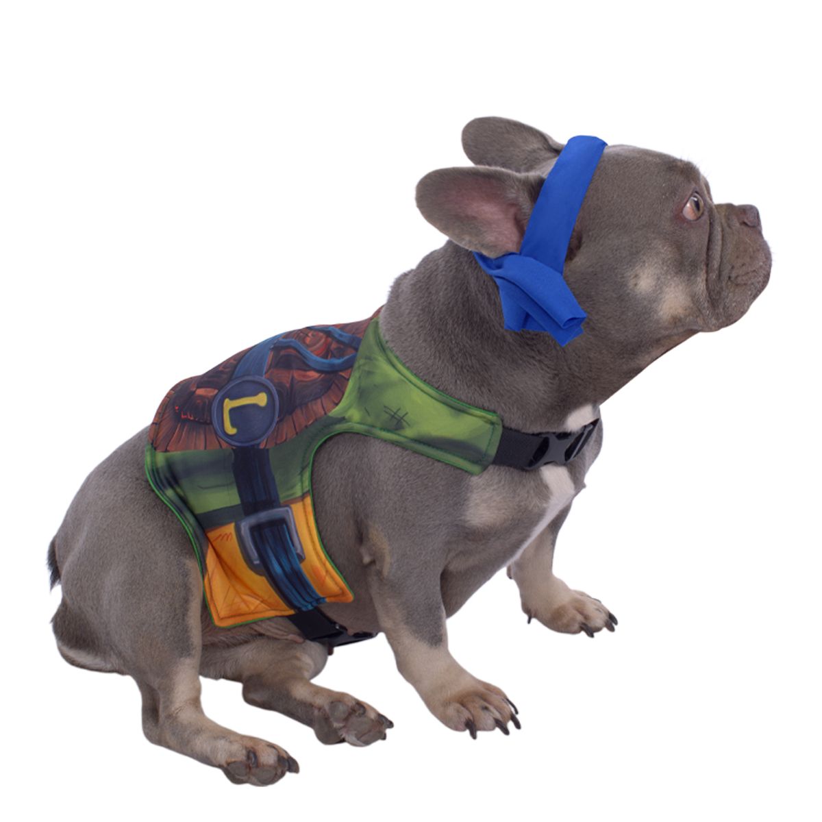 FANTASTIC NIGHT - Disfraz para mascota Tortuga