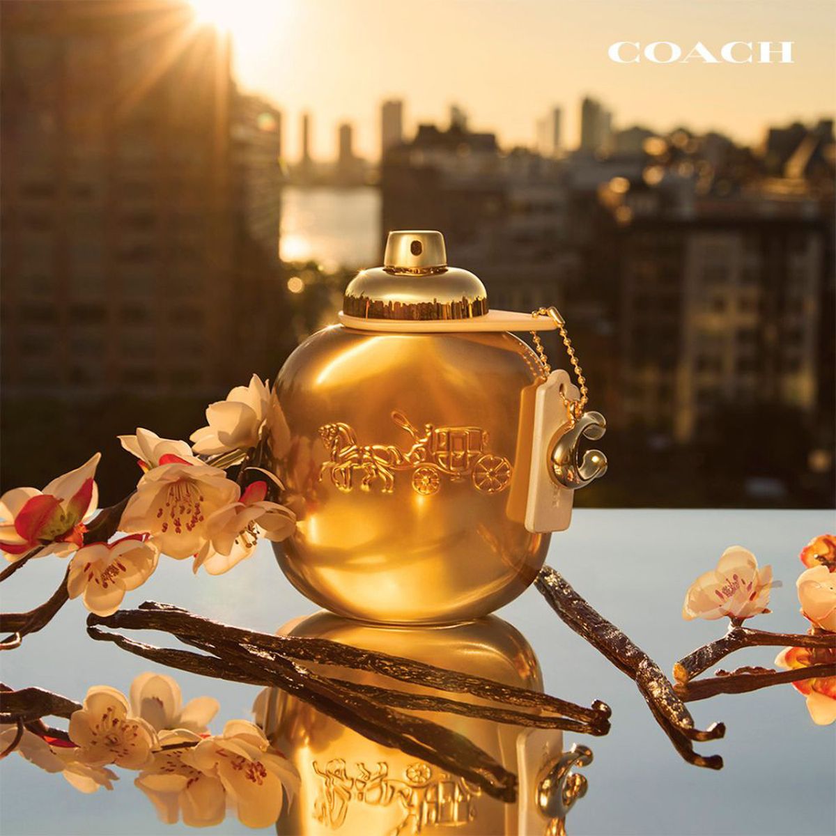 COACH - Perfume Mujer Coach Women Gold 90 ml Parfum 