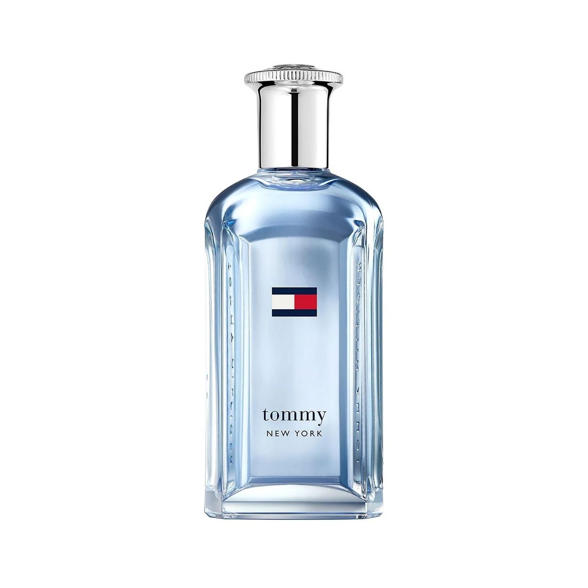 TOMMY HILFIGER - Perfume Hombre Tommy Hilfiger New York 100 ml Eau de toilette