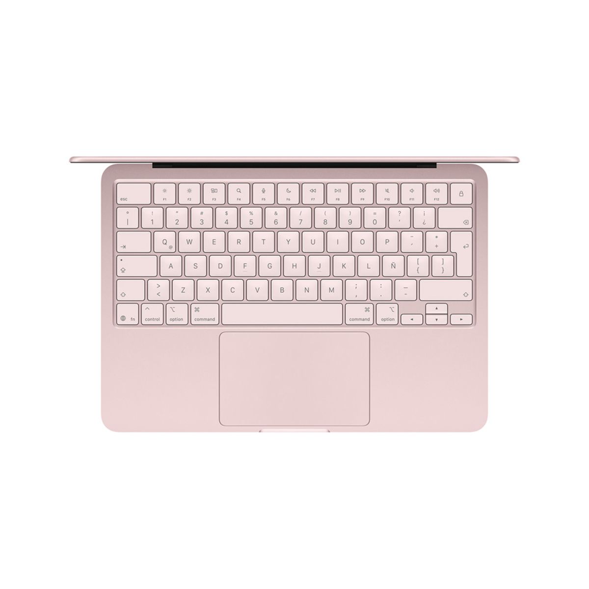 APPLE - 13-Inch Macbook Neo Apple A18 Pro 256Gb