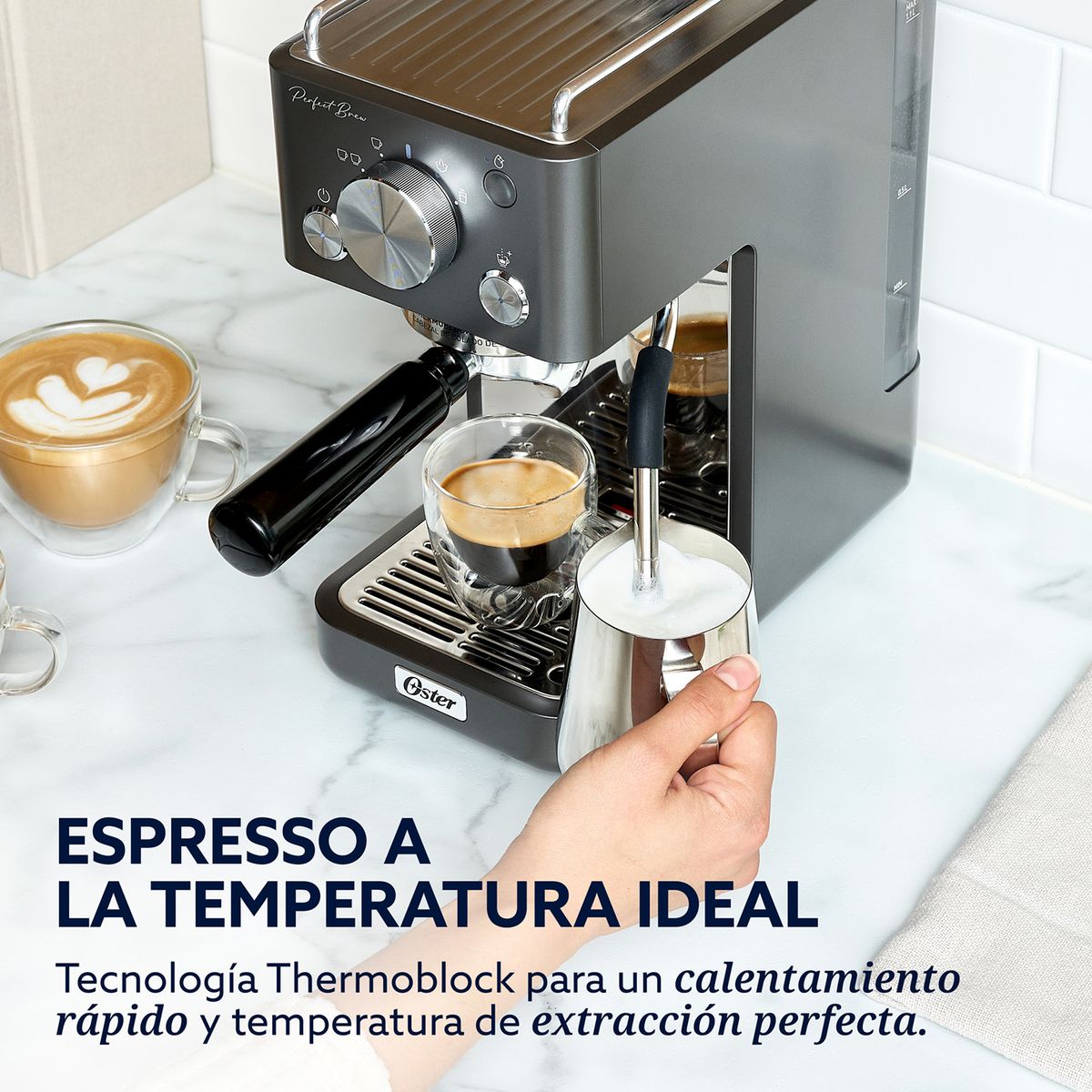 OSTER - Cafetera espresso I 2 Tazas I 2208851