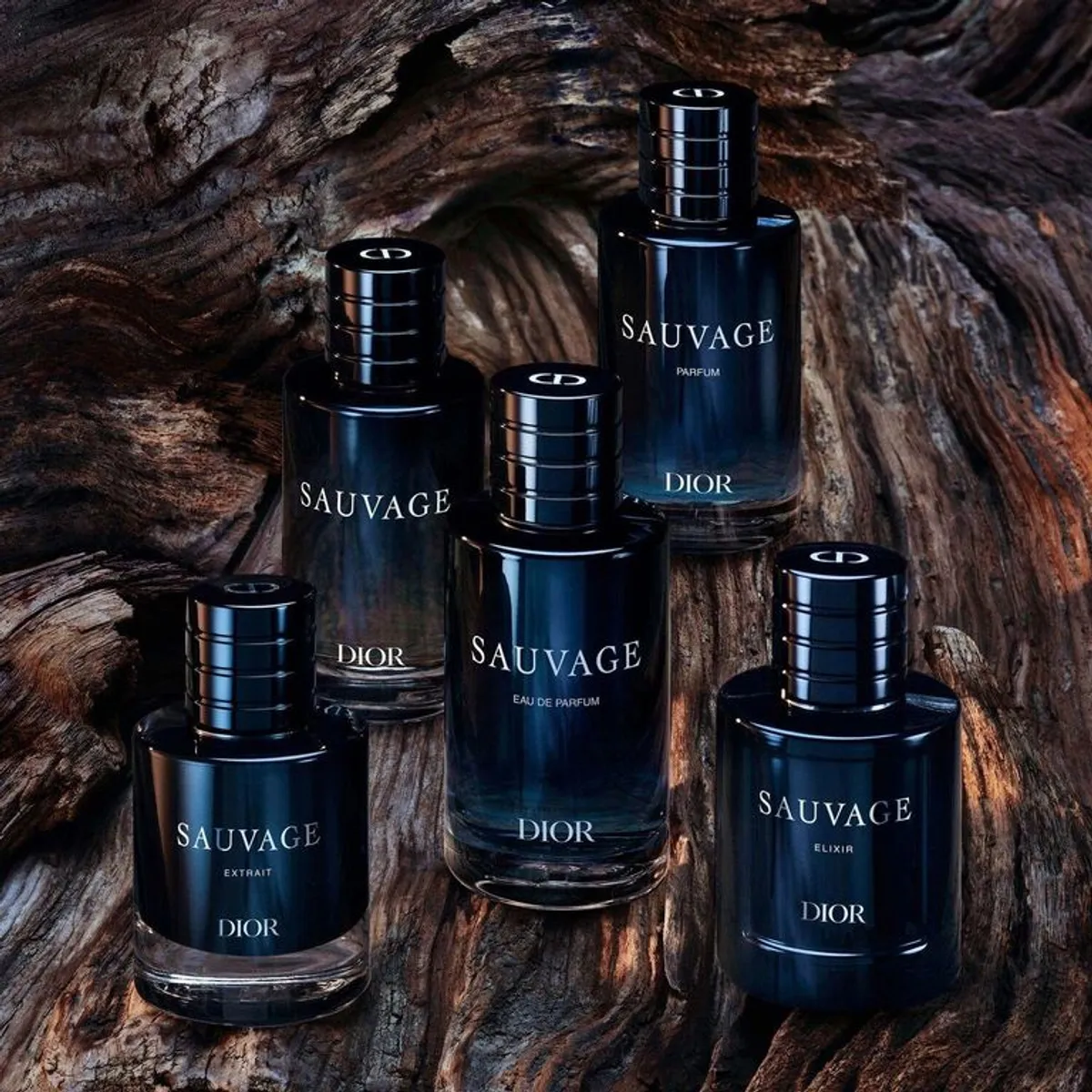 DIOR - Sauvage Extrait - Notas amaderadas