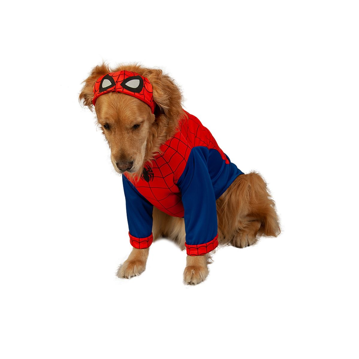 MARVEL - Disfraz de Spiderdog