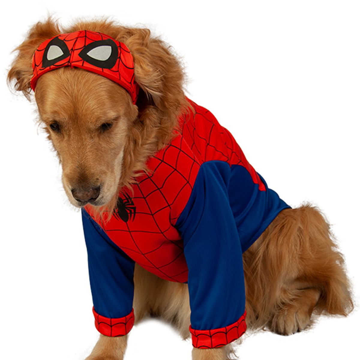 MARVEL - Disfraz de Spiderdog