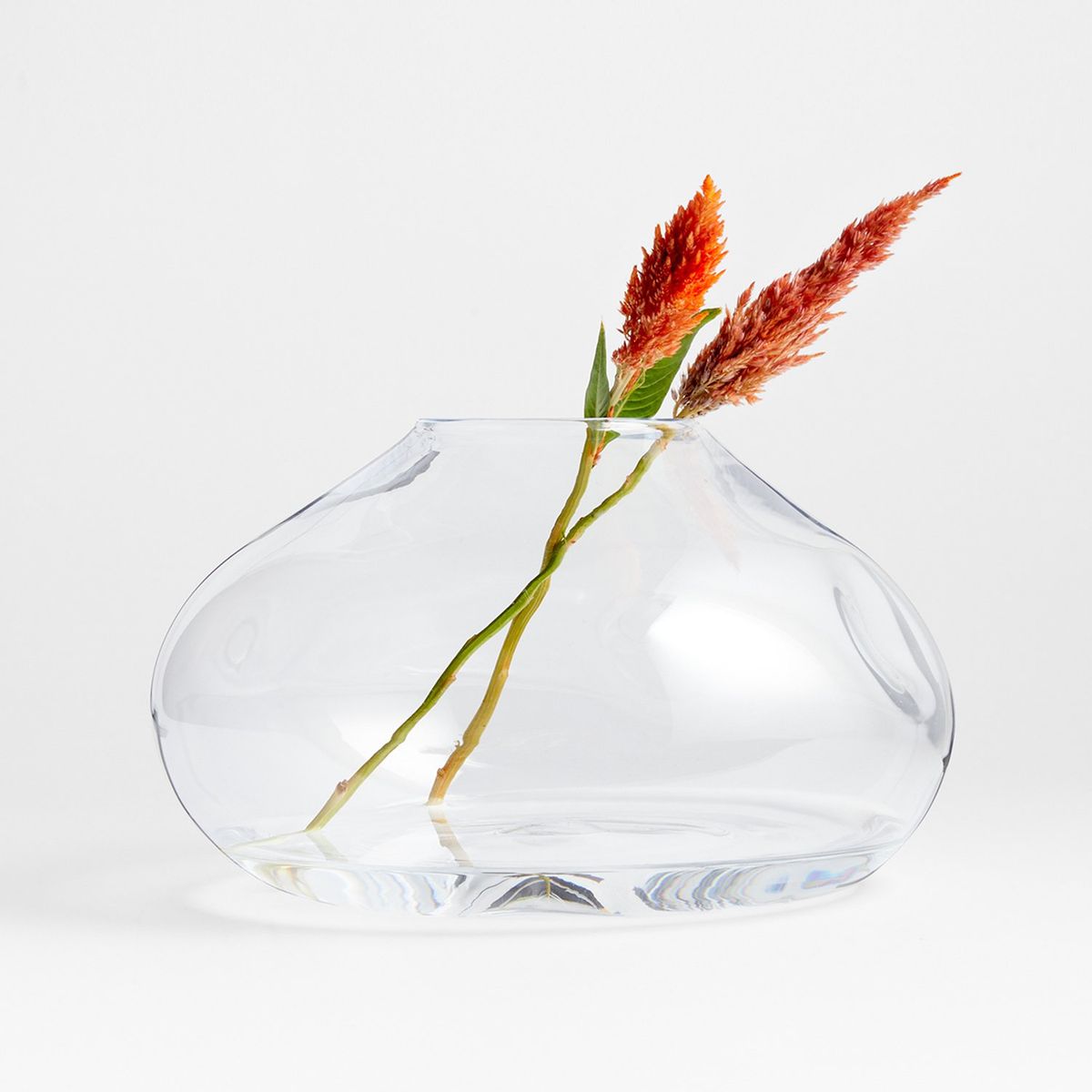 CRATE & BARREL - Florero Regen en Vidrio 20 cm x 33 cm 