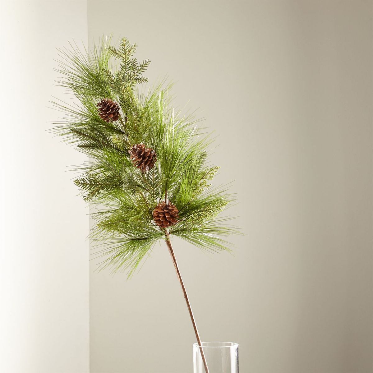 CRATE & BARREL - Rama Decorativa de Piñas