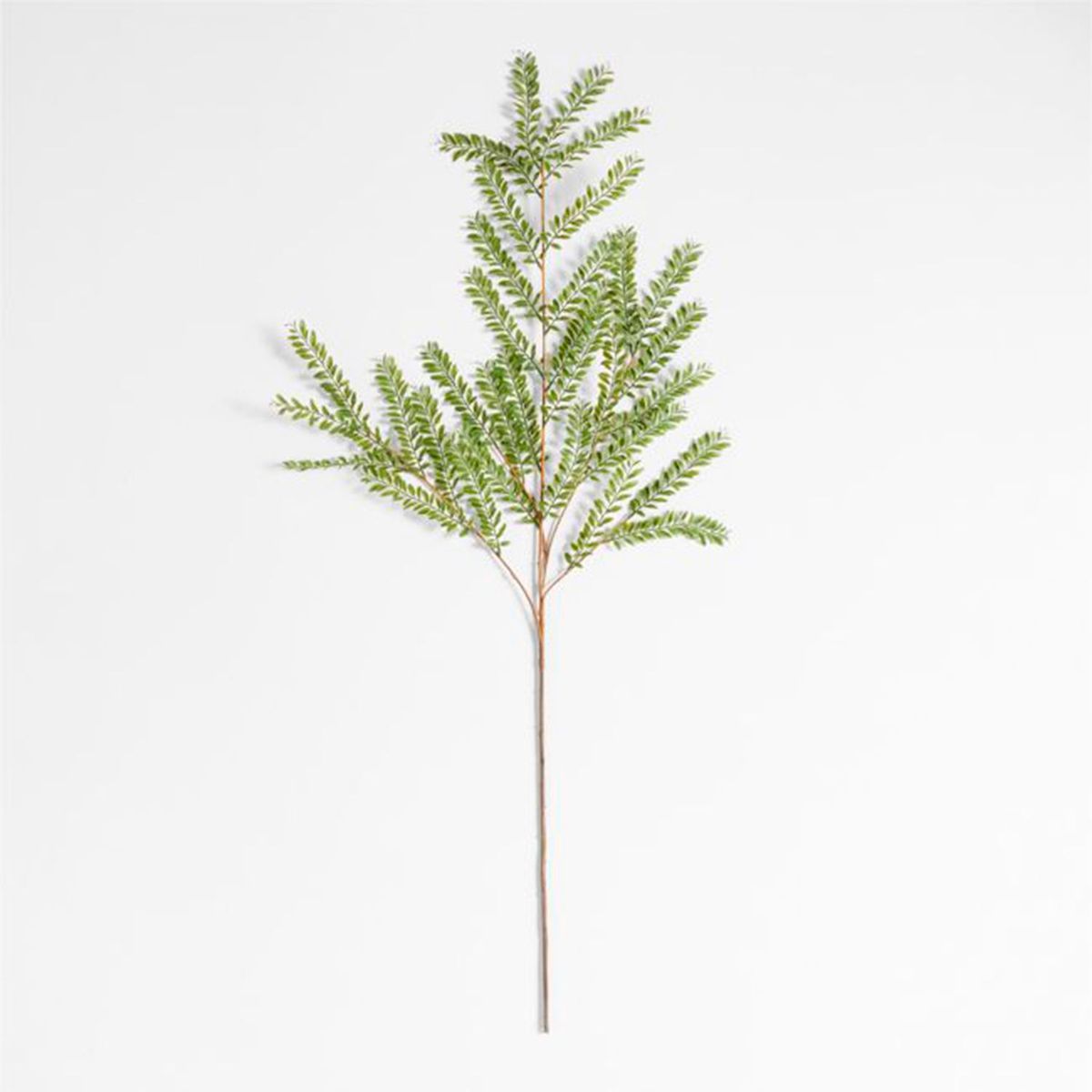 CRATE & BARREL - Rama artificial Sause Plástico 11 x 152 cm