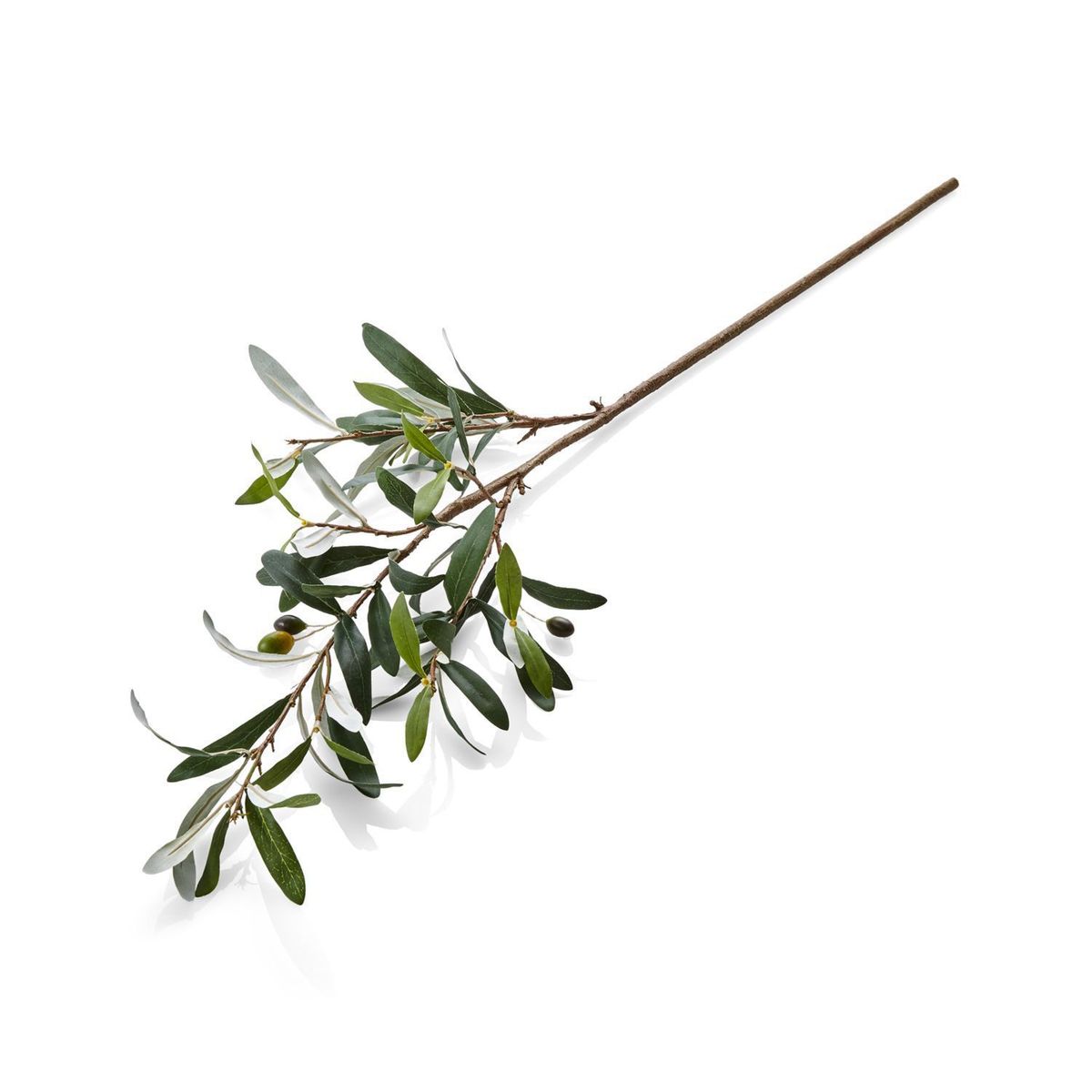 CRATE & BARREL - Rama artificial Olive Stem en Poliéster 91 cm x 18 cm