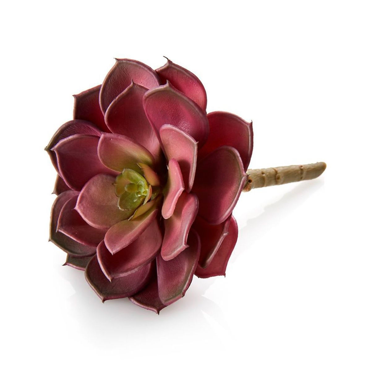 CRATE & BARREL - Planta Suculenta Decorativa