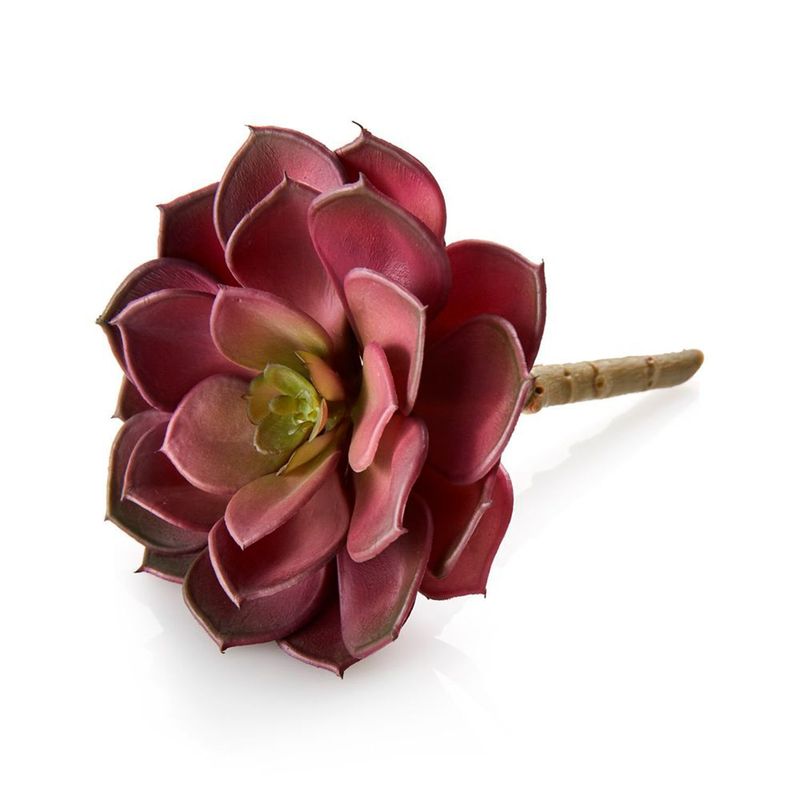 CRATE & BARREL - Planta Suculenta Decorativa