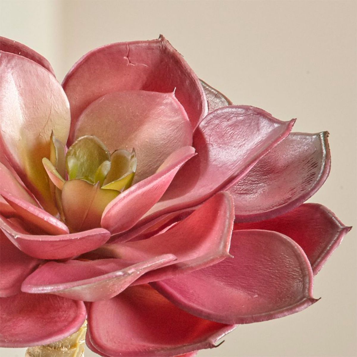 CRATE & BARREL - Planta Suculenta Decorativa
