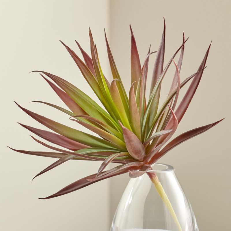 CRATE & BARREL - Planta Artificial Suculenta