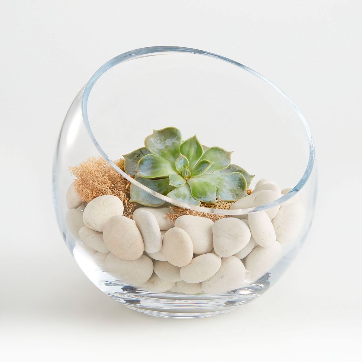 CRATE & BARREL - Piedras Decorativas de Playa Blanca