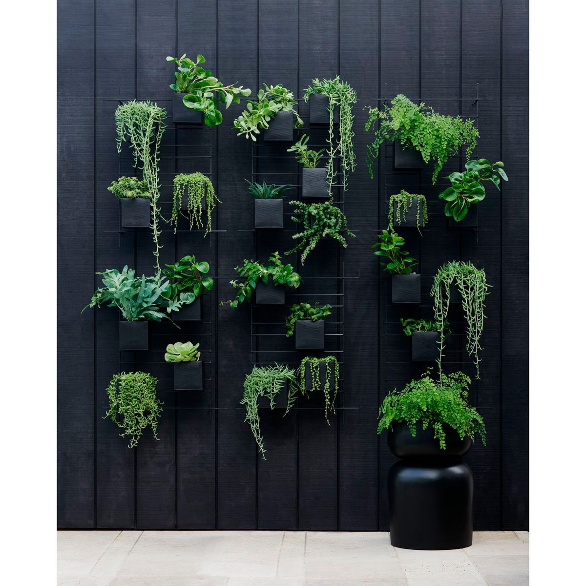 CRATE & BARREL - Maceta Glencoe en Hierro 60 cm x 40 cm 