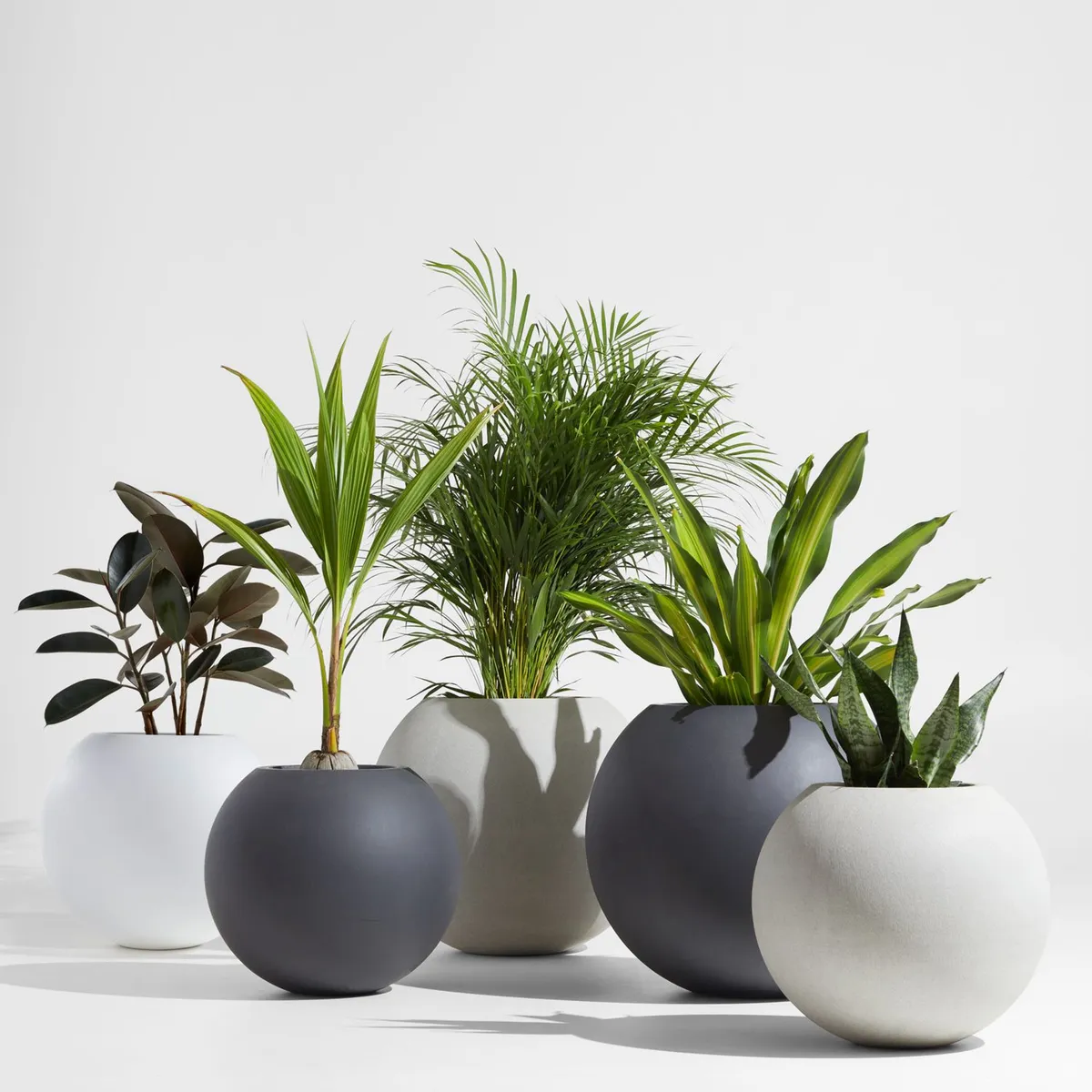 CRATE & BARREL - Macetera Sphere Cemento 57 x 61 cm