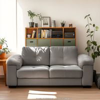 Sofá 2 Puestos Rafa $1.299.900
