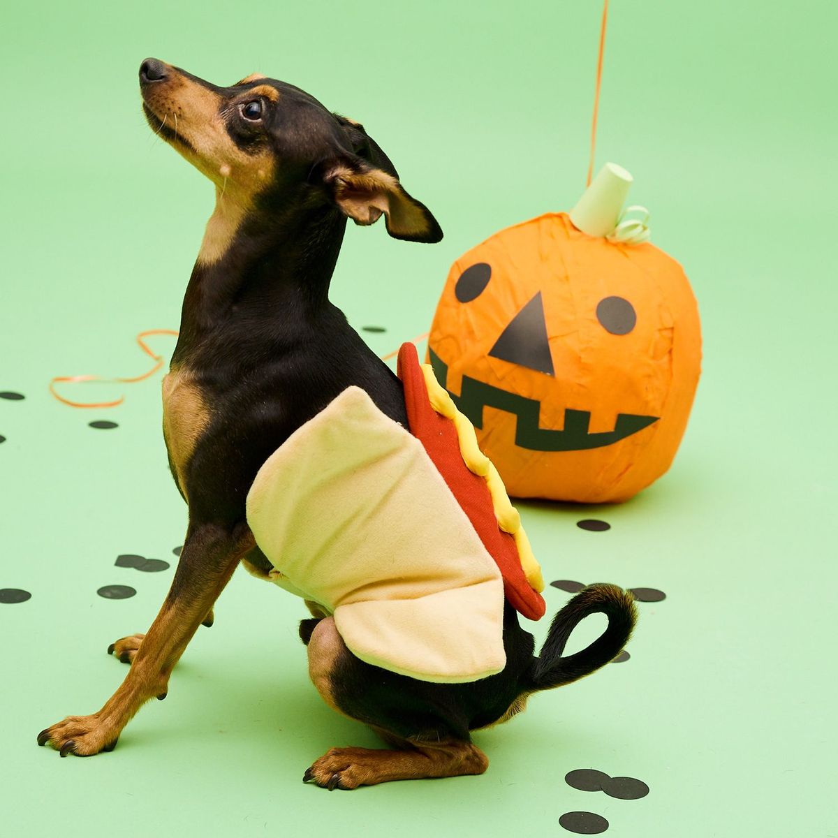 YAMP - Disfraz para Perro de HotDog