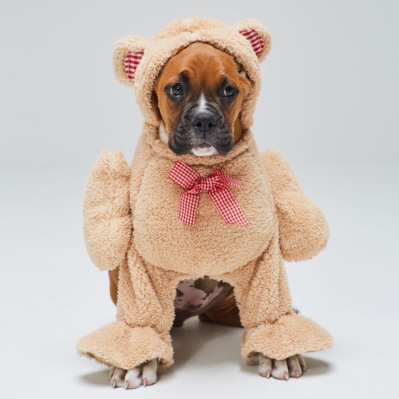 YAMP - Disfraz de mascota Yamp Oso de Peluche Teddy
