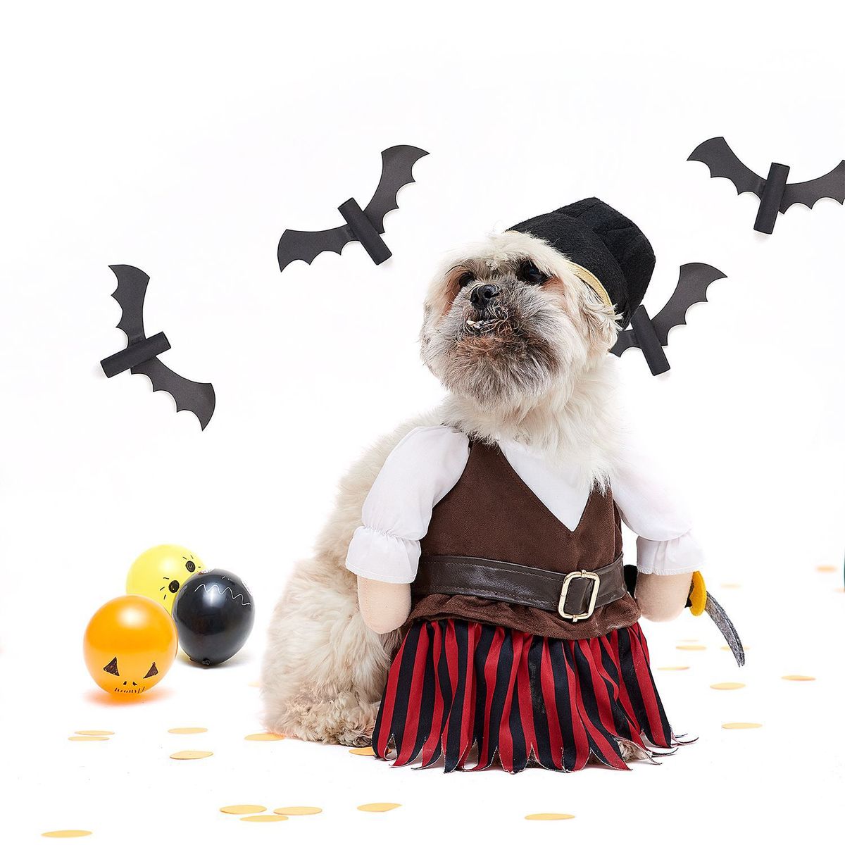 YAMP - Disfraz de mascota Yamp Pirata