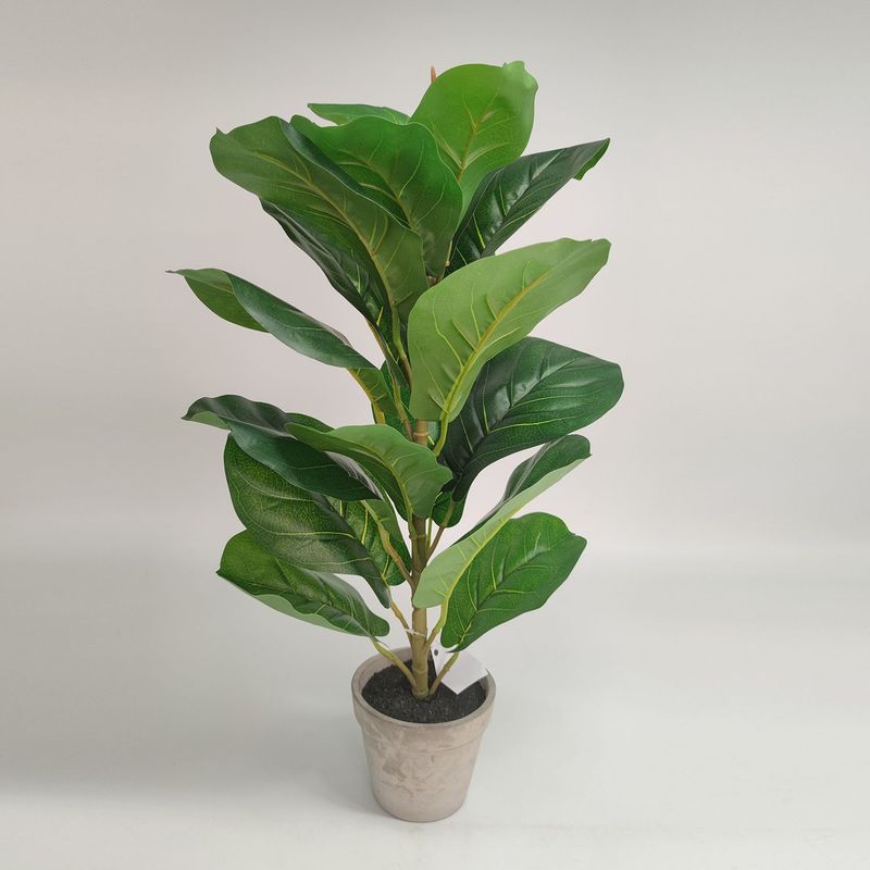 MICA - Planta Cemento 56 x 12 cm