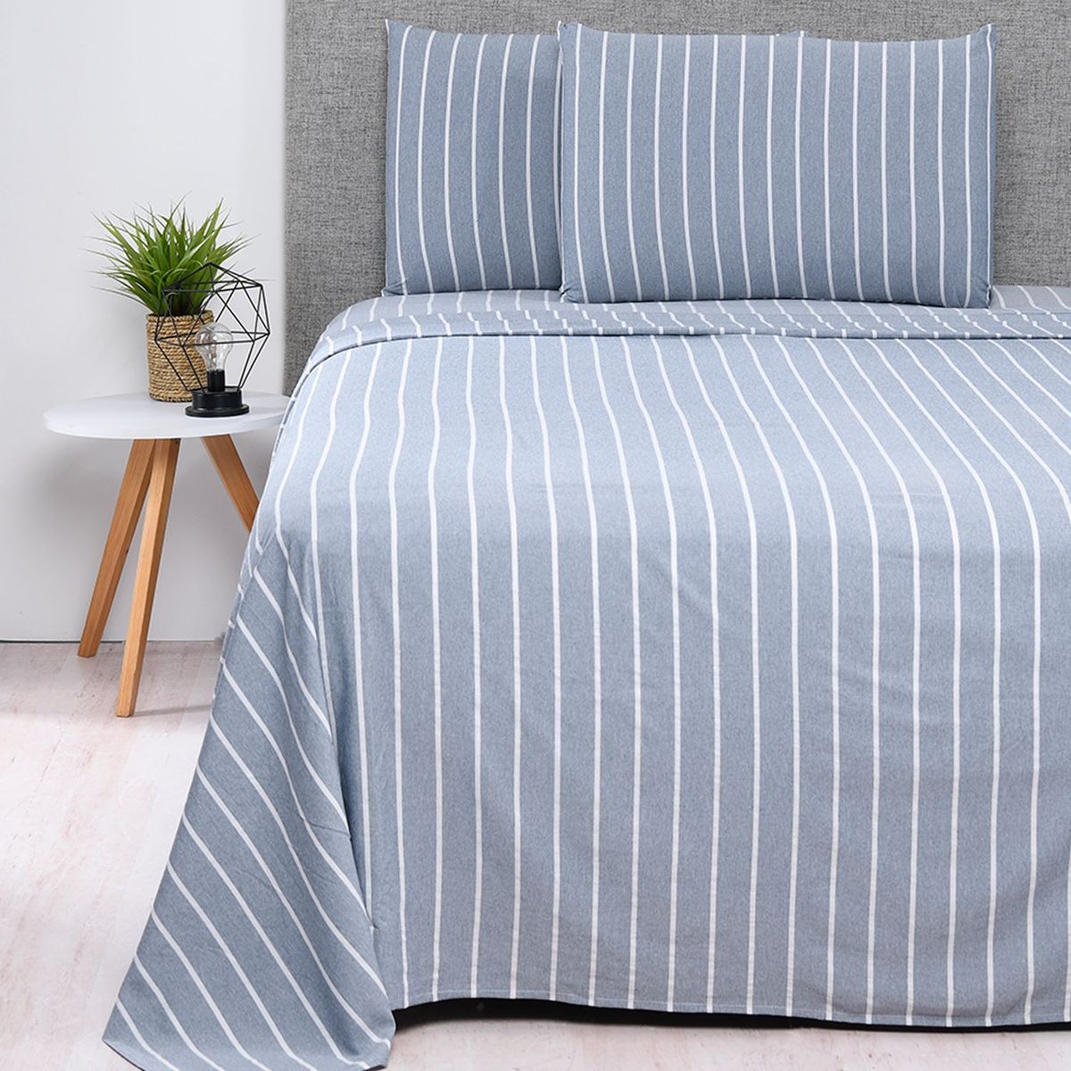 MICA - SABANA CATI RAY AZ KN