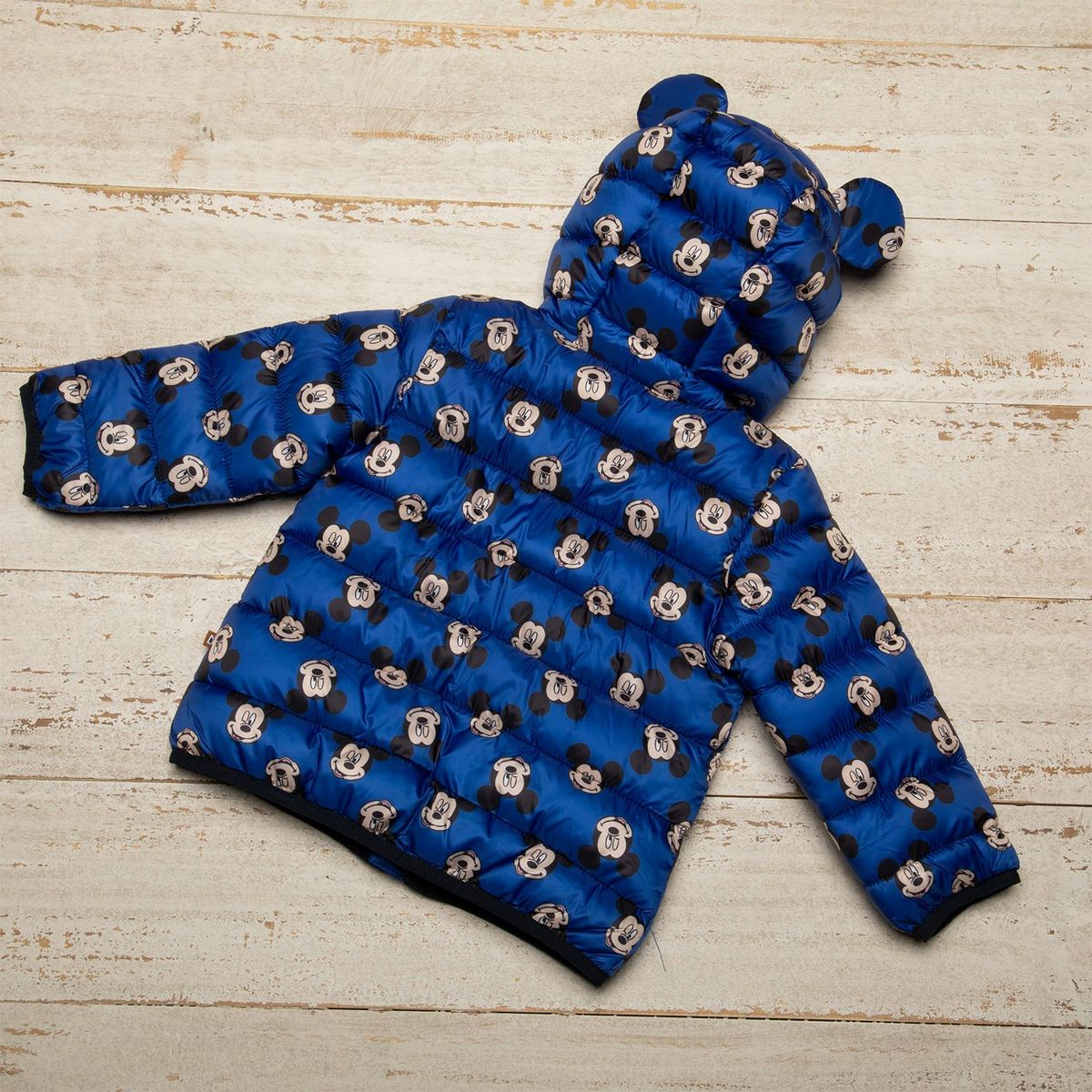 STD CHARACTERS - Chaqueta Bebé Niño Poliéster STD Characters