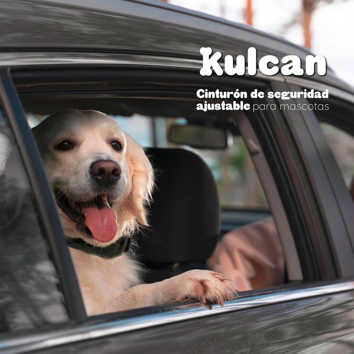 KULCAN - Cinturón de Seguridad para Perro 