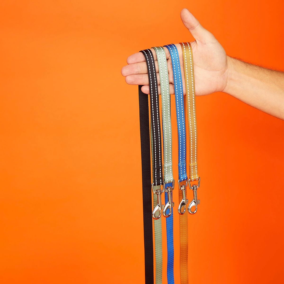 KULCAN - Correa y Collar para Perro 100% Poliéster