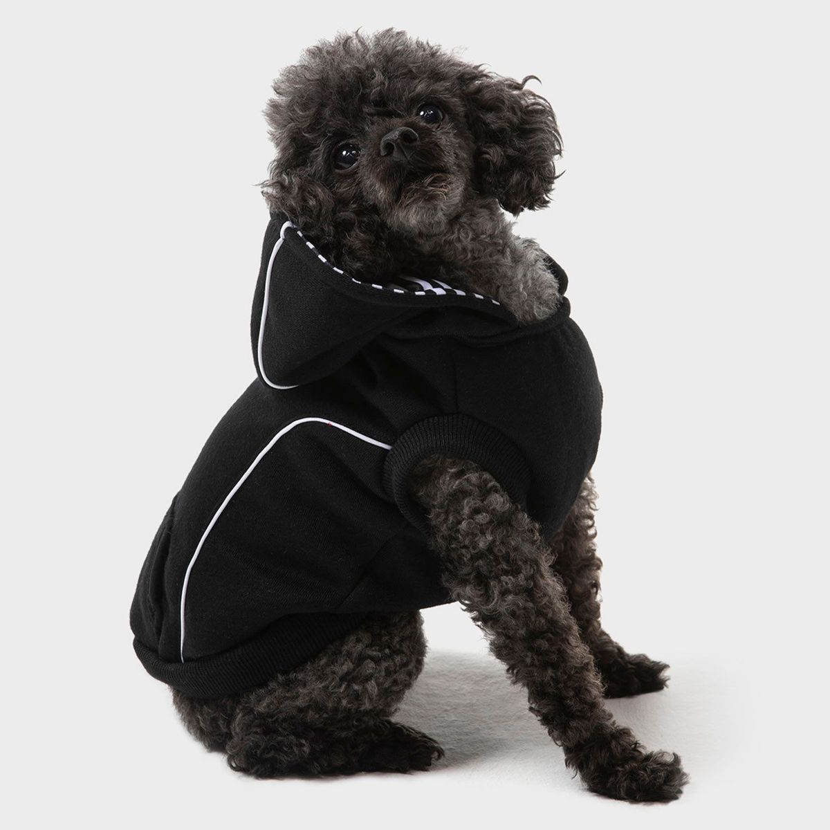 KULCAN - Saco Capucha Perro Pequeño