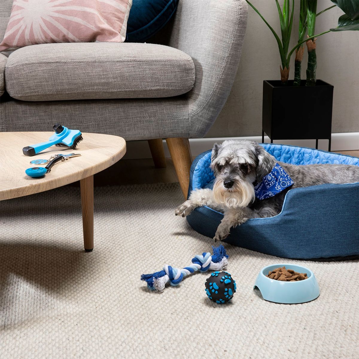 KULCAN - Kit de cuidado y comedero para perro