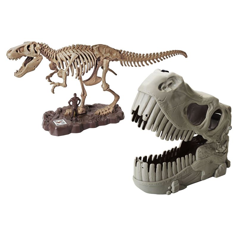 DINO VALLEY - Fossil de Tiranosaurio Rex para Armar, Incluye (22 Piezas + Lonchera Cabeza Dinosaurio) a partir de los 3 años - DINO VALLEY