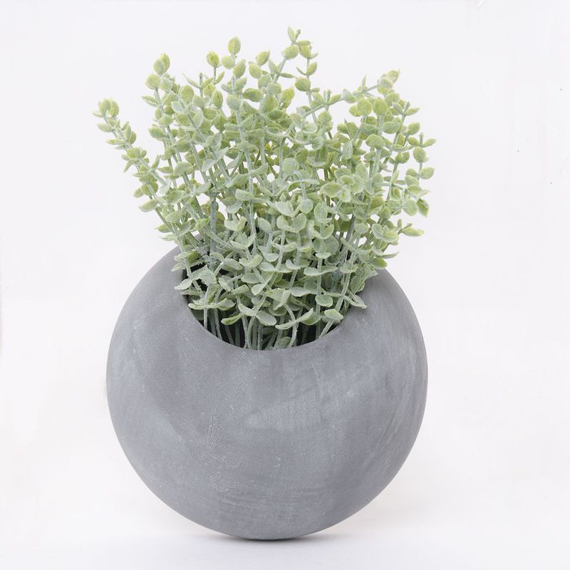 MICA - Planta 25 x 15 cm