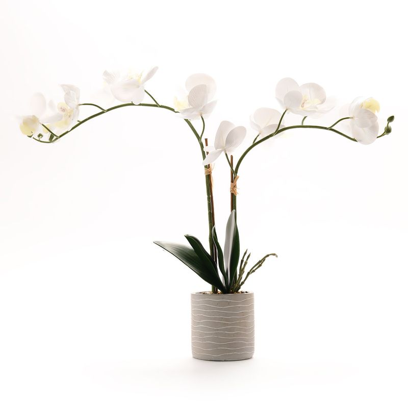 MICA - Planta decorativa 52 x 10 cm