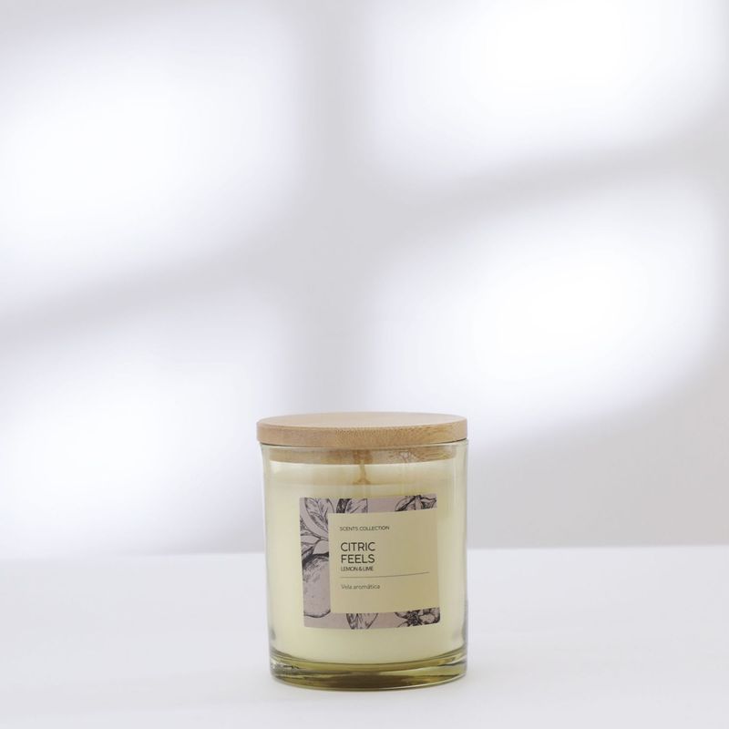 ROBERTA ALLEN - Vela aromática Lima y Limón Cera 10 x 8.2 cm