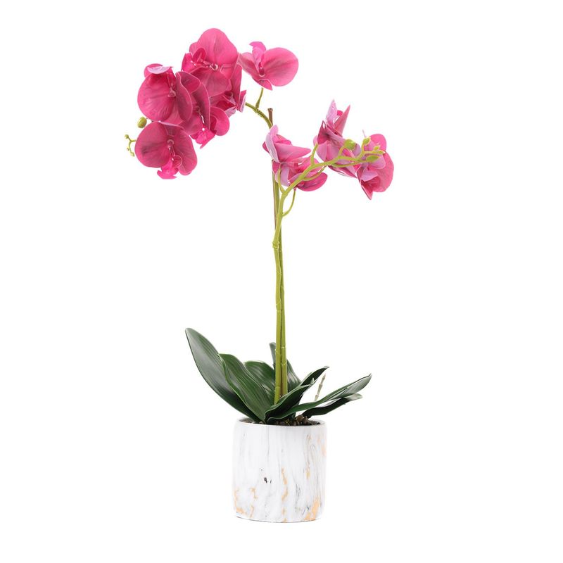 MICA - Planta 60 x 12 cm