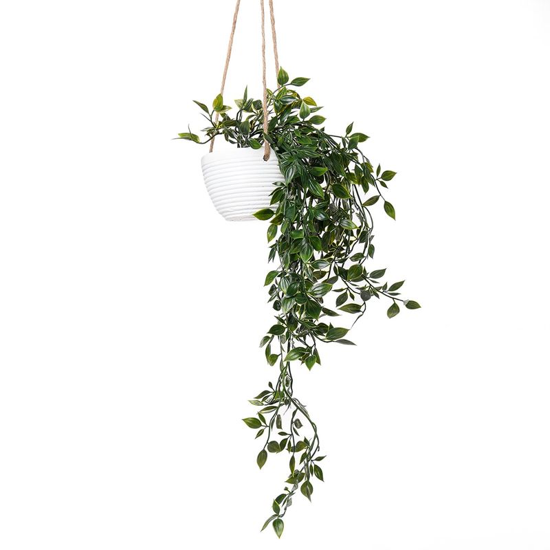 MICA - Planta 34 x 10.5 cm