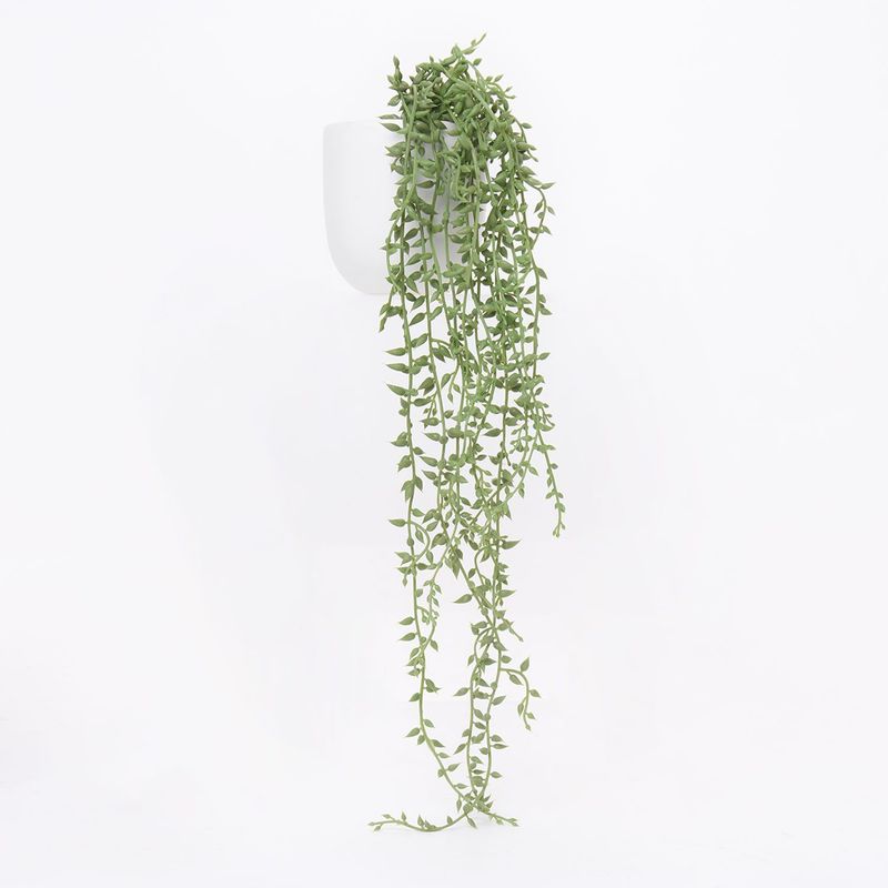 MICA - Planta 50 x 10 cm