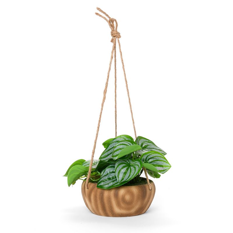 MICA - Planta 37 x 12 cm