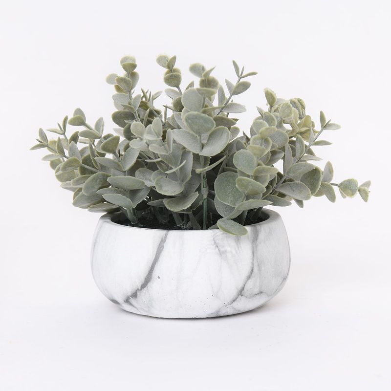 MICA - Planta 16 x 12 cm