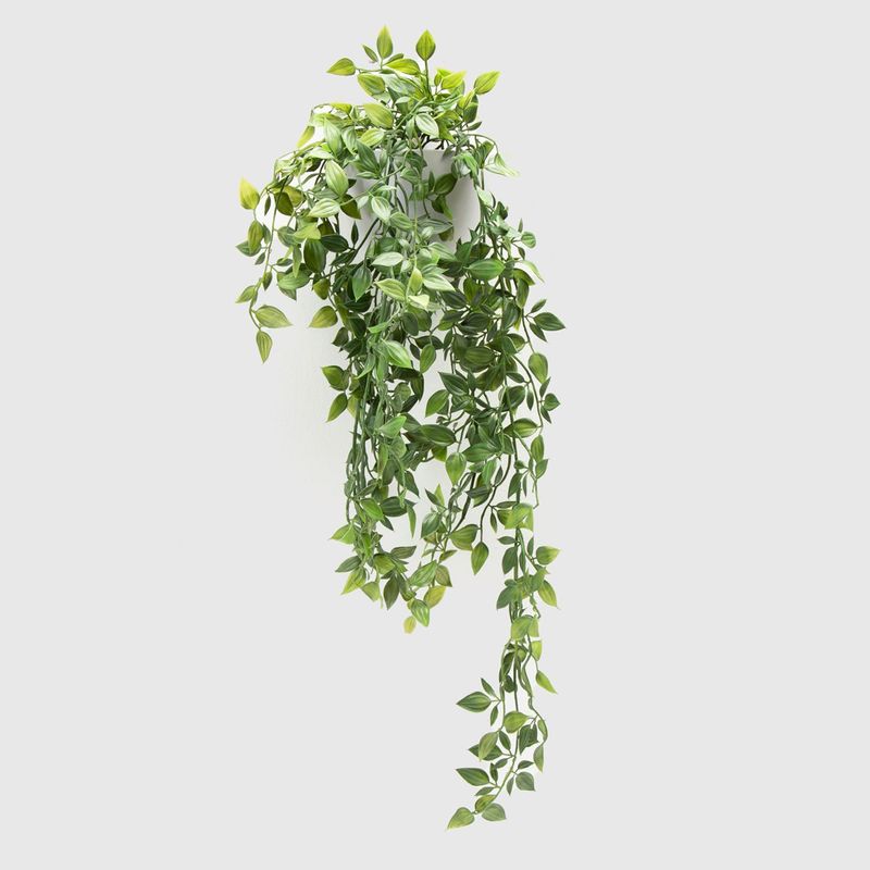 MICA - Planta 67 x 10 cm