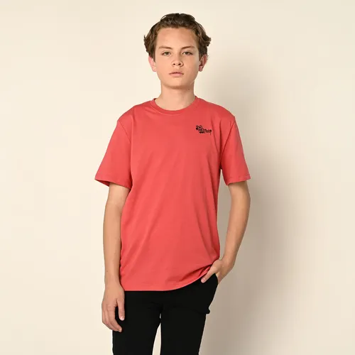 Camisas y camisetas