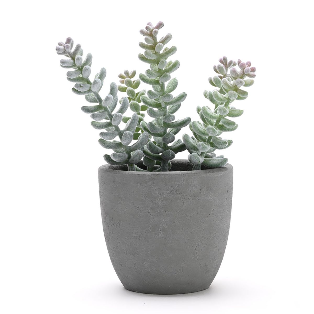 MICA - Planta Poliestireno 19cm x 10cm MICA