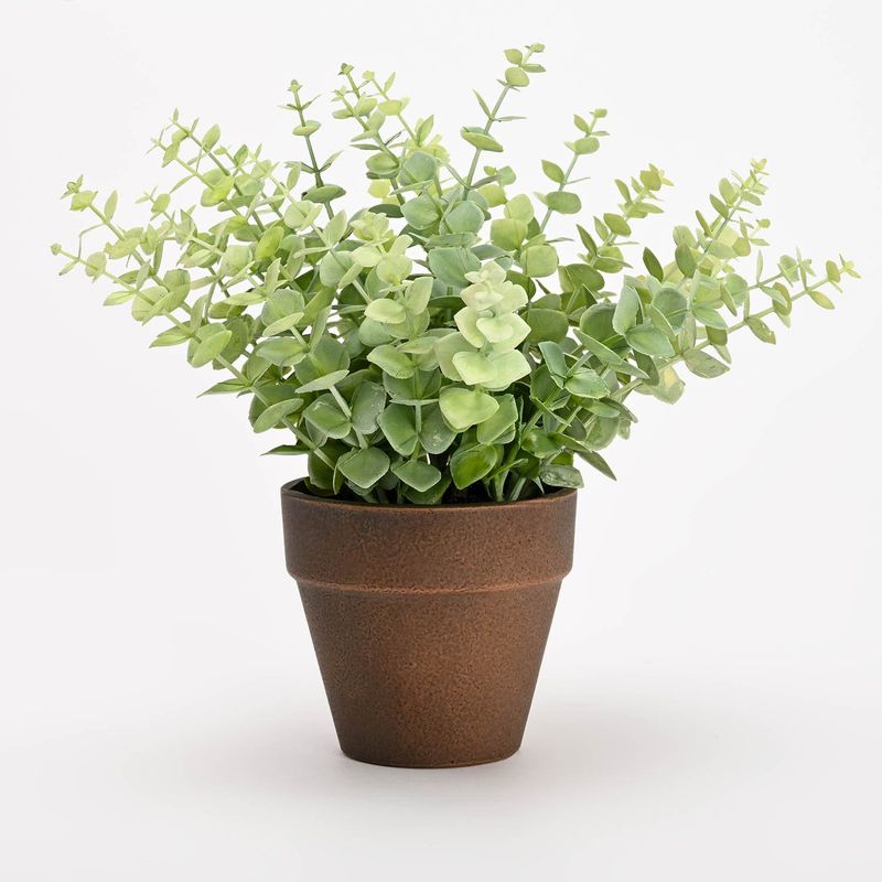 MICA - Planta Plástico 24cm x 15cm MICA