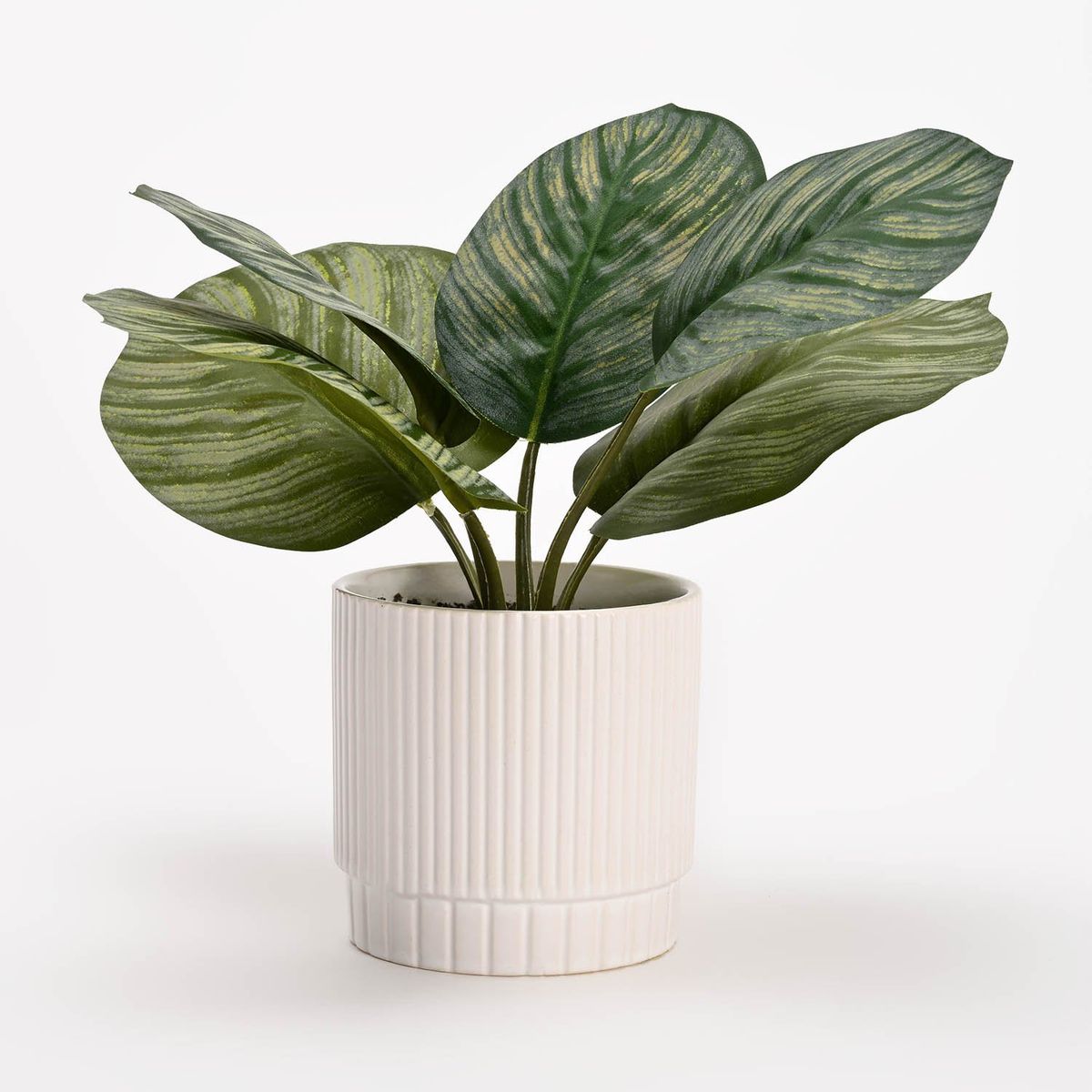 MICA - Planta Cerámica 22cm x 15cm MICA