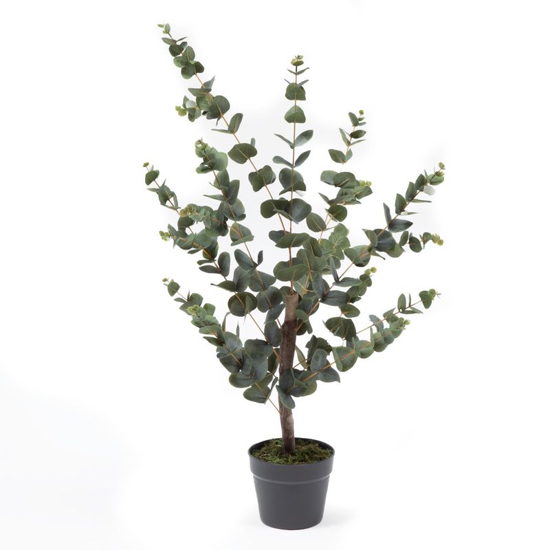 MICA - Planta Plástico 95  Mica
