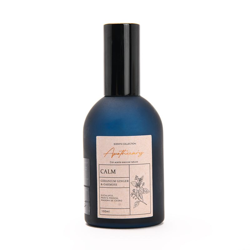 BASEMENT HOME - Ambientador 100 ml (fragancia)