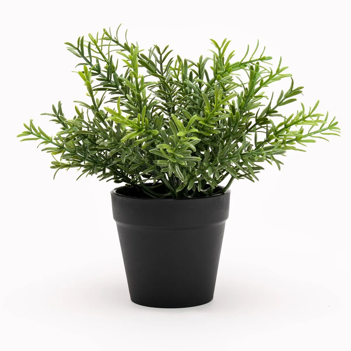 MICA - Planta Romero 28 Cm Mica