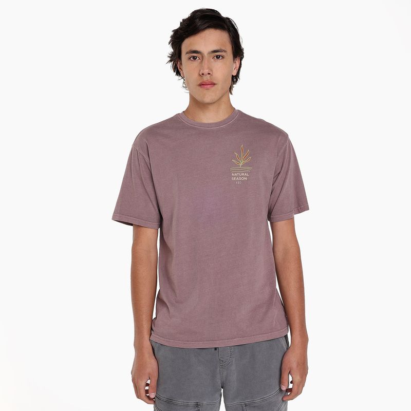 FEDERATION - Camiseta para Niño Manga corta de Algodón Federation