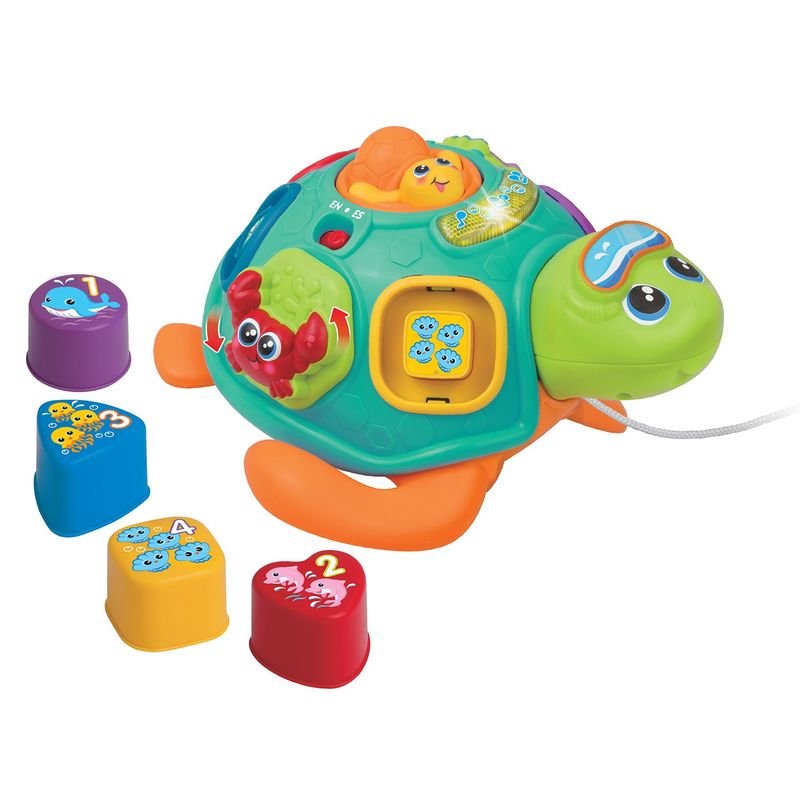 WINFUN - Juguete Para Bebé Didáctico Winfun: Tortuga Músical