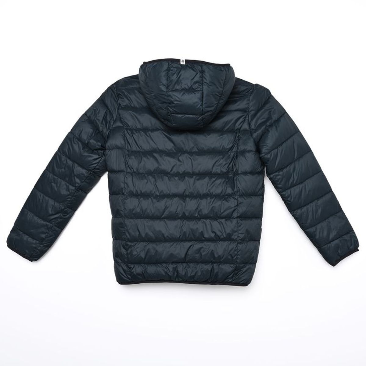 FEDERATION - Chaqueta Con capucha para Niño Acolchado Federation